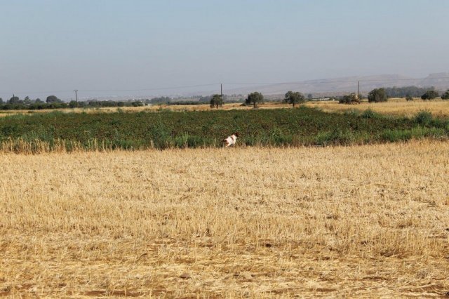 Αγωνες Α.Κ.Ι 11/6/2017